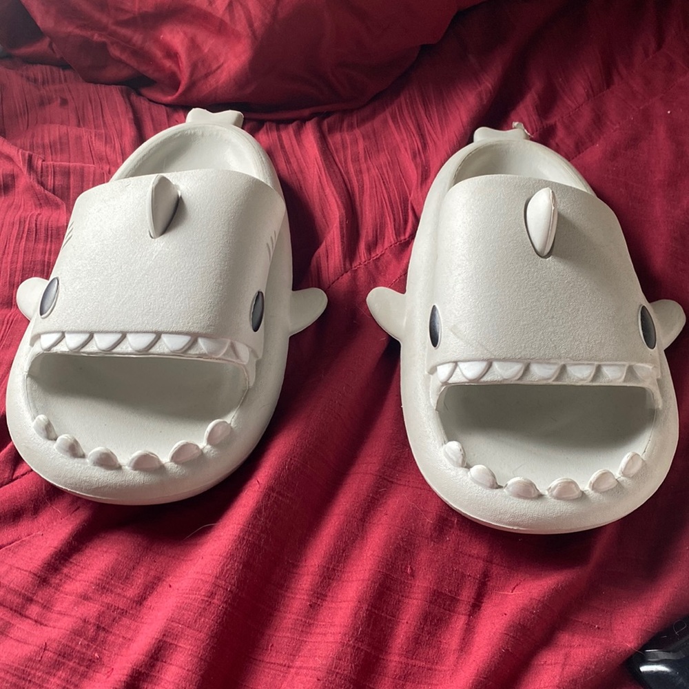 Grey Shark Slides